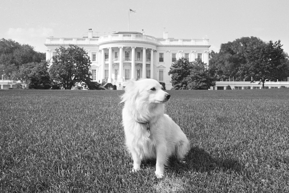 Trump is the first US president in 125 years who doesn't own a dog