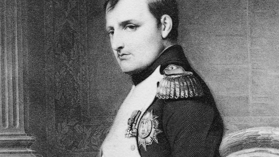 Napoleon's bold plan