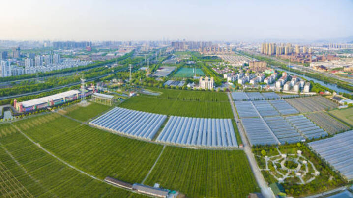Exploring the Bountiful Earth: A Journey Through the Top 5 Farms Around the Globe